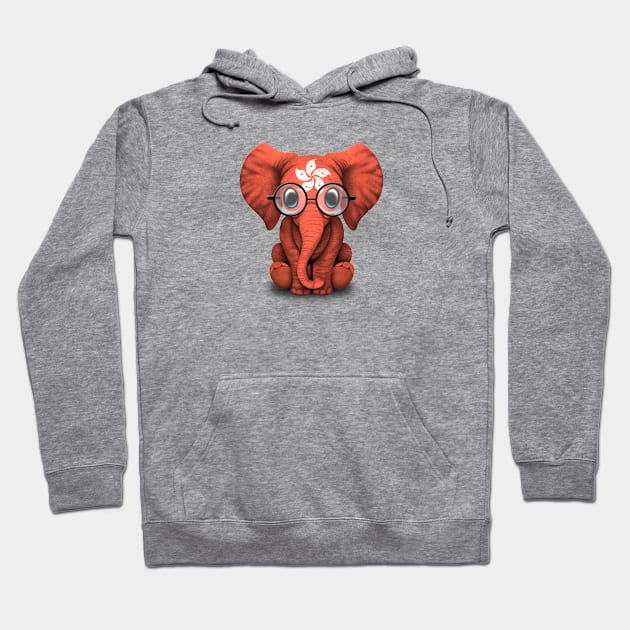 Baby Elephant with Glasses and Hong Kong Flag Hoodie by jeffbartels